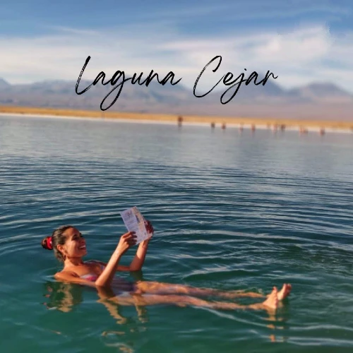 LAGUNA CEJAR
